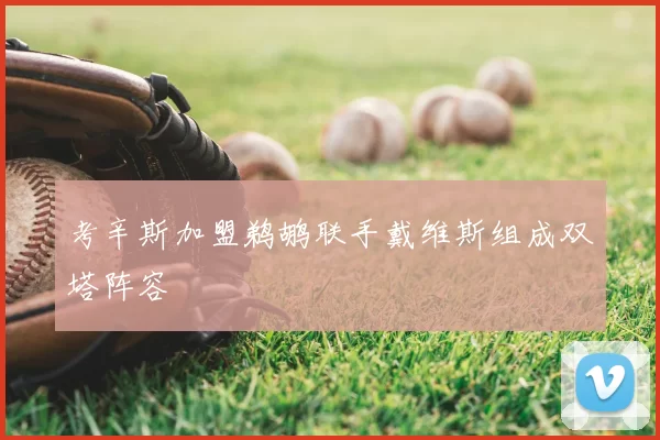 考辛斯加盟鹈鹕联手戴维斯组成双塔阵容