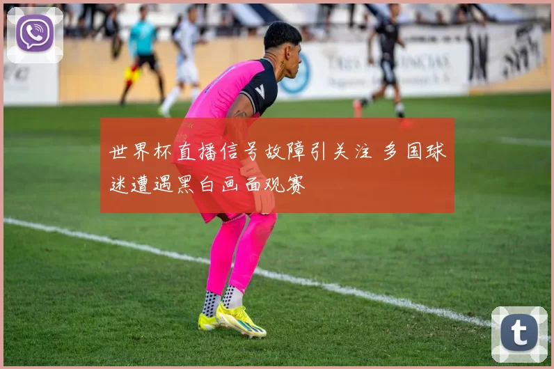 世界杯直播信号故障引关注 多国球迷遭遇黑白画面观赛